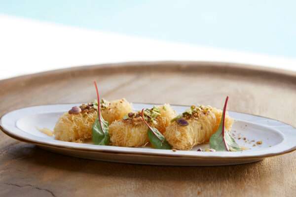 Main-Cource-Offers10 Main-Cource-Offers10