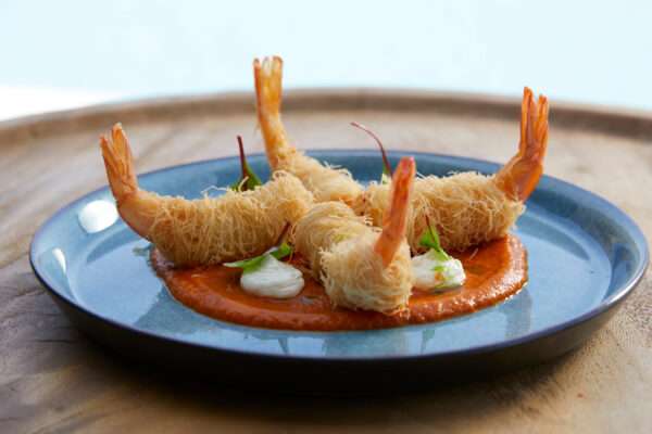 Main-Cource-Offers12 Main-Cource-Offers12