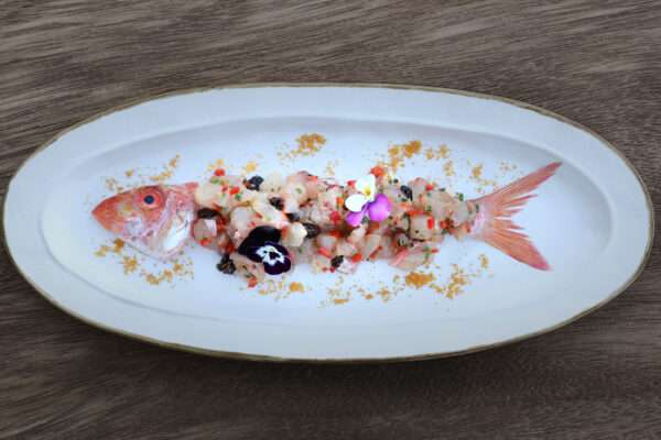 Main-Cource-Offers13 Main-Cource-Offers13