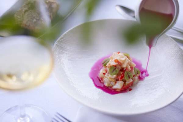 Main-Cource-Offers3 Main-Cource-Offers3