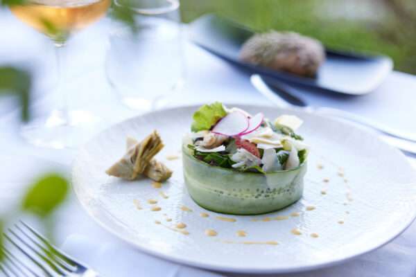 Main-Cource-Offers5 Main-Cource-Offers5