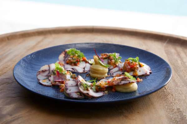 Main-Cource-Offers8 Main-Cource-Offers8