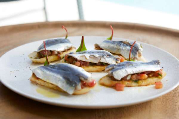 Main-Cource-Offers9 Main-Cource-Offers9